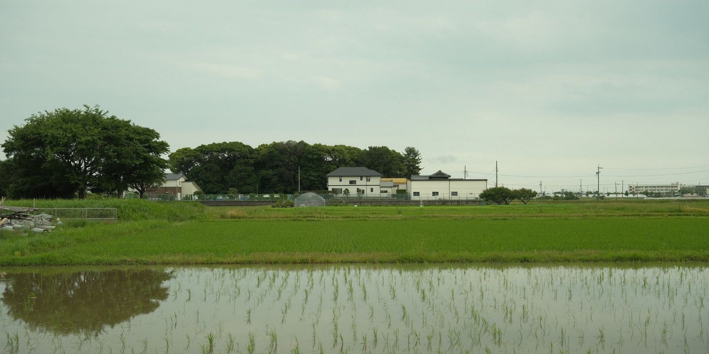 水を張った平らな田んぼと、その向こうの家並み